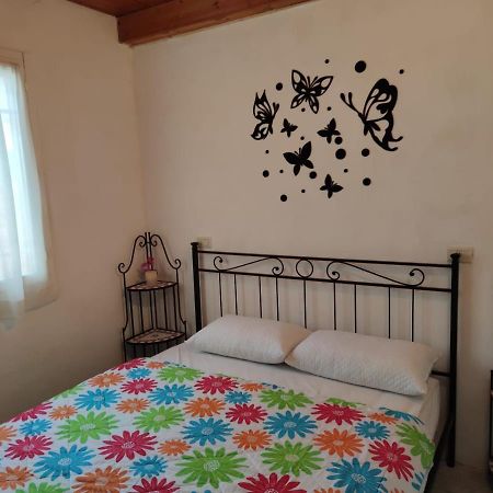 Stellina Villa Lido di Volano Ngoại thất bức ảnh