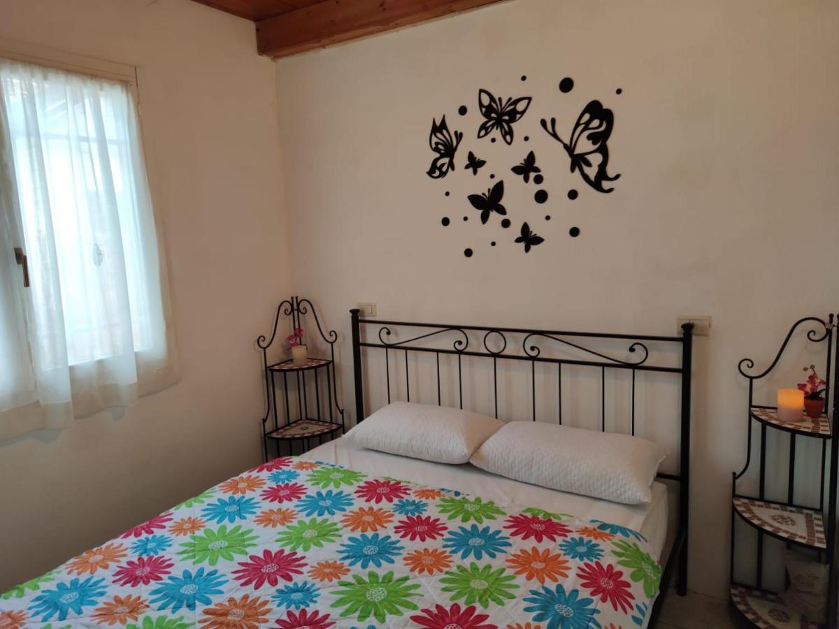 Stellina Villa Lido di Volano Ngoại thất bức ảnh